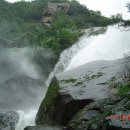 용초마을 이미지