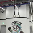 크로스핏 언데드 | [신도림/영등포 크로스핏] 크로스핏언데드 오픈짐후기