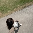 뮤지컬 레미제라블 <코제트 소녀이야기> | [런던여행 후기] 여자혼자 런던여행 3 (리젠트파크, 프림로즈힐~레미제라블 뮤지컬)