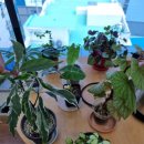 남일작은도서관 이미지