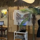 북침산네거리 | [대구 북구 맛집] 라이첸침산점: 족발밥에 반한 현지인 추천 후기 (아기랑 방문/주차 꿀팁)