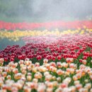 남원꽃식물원 앞 이미지