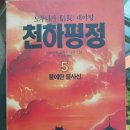천하평정(5권) - 불에 탄 불사신 이미지