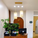 우다닥 고양이호텔 이미지