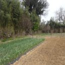 병준 농장 이미지