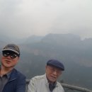 시조본가 이미지