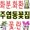 뉴엠치과의원