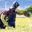 합동물류 노동조합 이미지