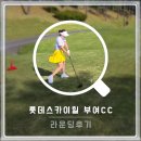 계백장군 | 롯데스카이힐부여CC 라운딩 후기, 5월인데 한여름 같았던 의자왕·계백장군 코스
