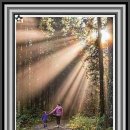 샛별어린이집 | 아이 마음도 자라나는 곳, 샛별 아동심리발달센터 운정점 방문기 (운정 아동심리상담, 샛별 아동심리...