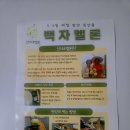 선이네과일 - 창원시 진해구 여좌로 75 | 선이네멜론 멜론, 4인 가족이 반한 함안 백자 메론 특산물