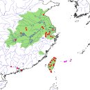 옐로우케어 이미지