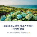 낮과 밤 | 6월 부산 여행 코스 바다 감성 제대로 즐기는 방법