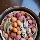 태상굴장어구이