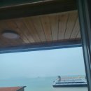 거제비치블루애견펜션 | 비치블루 애견펜션 내돈내산 후기 거제애견펜션