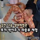김천 다솜 생태체험관 파충류 체험