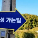 유자썸 이미지