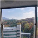 강릉유리．샷시 | 강릉샷시 교체 공용계단 유리 샷시 깔끔하게 새단장