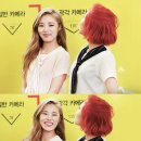 지빠 이미지