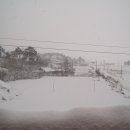 꿈이자라는땅 이미지