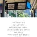 독도랑우리랑주유소(SELP) | 2박3일 울릉도여행 패키지 투어로 가도 될 지 망설여진다면?! vs 자유여행