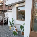 오(oh)헤어 | 행궁동 가볼만한곳 귀여운 아이템이 가득한 소품샵 천국! '오스토어(oh! store) 행궁점' 방문 후기 🛍️✨