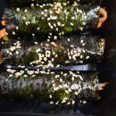 대박꼬마김밥 이미지