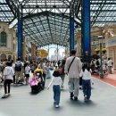 [일본 도쿄여행🇯🇵] 도쿄 디즈니랜드 후기🎡