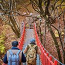 “외국인들 난리난 이유가 있었네”… 관광 필수코스 ‘K등산’, 어떻게 바뀌었길래 이미지