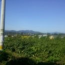 초입농장 이미지