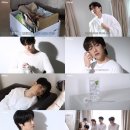 엔 티브이데일리