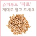 파로 이미지