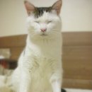 꾸름