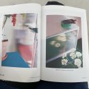 파파야미용실