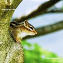 금성동 교차로 2 이미지