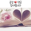 대풍생고기 - 강동구 양재대로85길 24 | [성내동 맛집] 신선한 고기와 구수한 된장술밥 대풍생고기 내돈내산 솔직후기