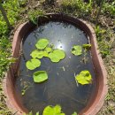 소만농장 이미지