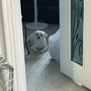 여름 다 갔다