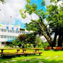 석곡면 주민자치센터 이미지