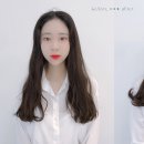 데일리브라운 이미지