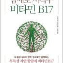 B17-1 이미지