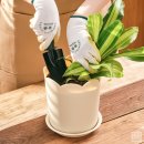 (봄맞이) 홈가드닝 이미지