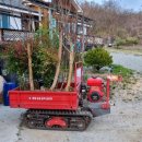 진거리농원 이미지