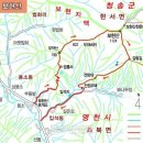 보현산 등산로 이미지