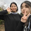 수야돈카츠 | 2025년 7월의 여운