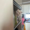 송절중학교 | 뱀과 벌은 없지만 맛있는건 잔뜩있는 11월