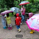월드비전춘천어린이집 이미지