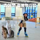 자매캣 | 충북혁신도시 고양이카페 쵸이캣 롤러장 있는 실내놀거리 멀티카페