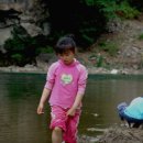 낙동초교 이미지