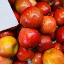 화곡본동시장 이미지